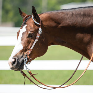 Billy Royal® Double Diamond Two Ear Silver Show Headstall II