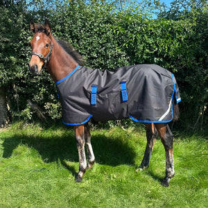 Horseware® Amigo Ripstop 900D Medium Weight Foal Turnout Blanket - 200g