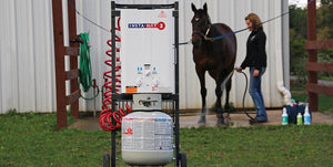 Horse Care Collection Mobile