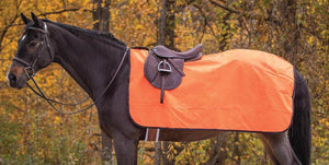 Coolers & Horse Show Covers Collection Mobile