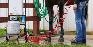 Bathing & Grooming Tools Collection Mobile