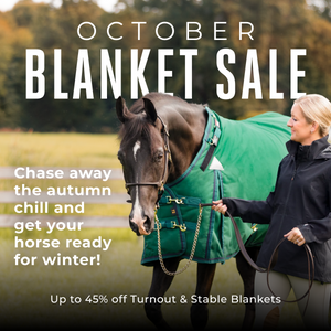 October Blanket Sale Up to 45% off