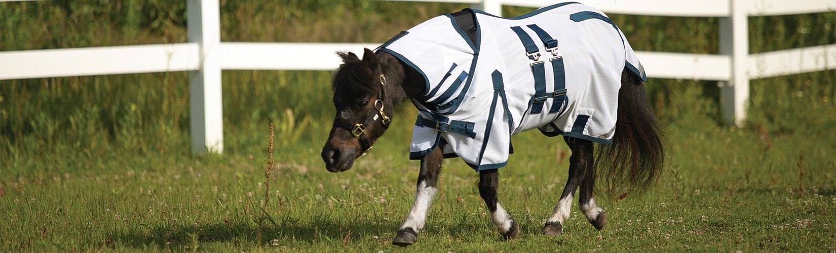 Mini Horse Fly Sheets
