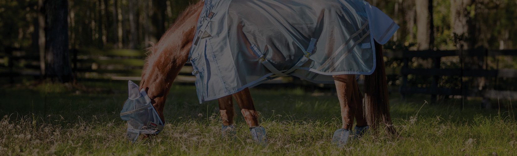 Horse Fly Sheets 101