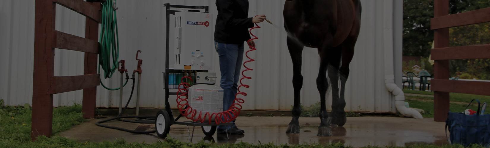 Horse Show Grooming Tips