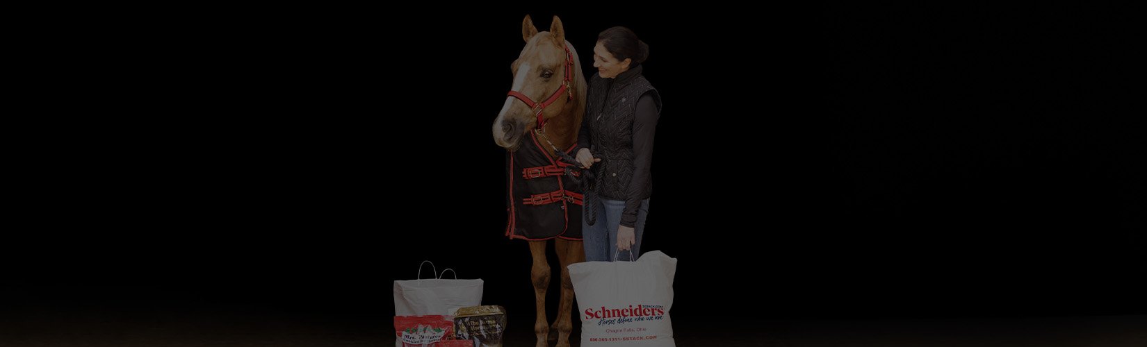 Holiday Gift Guide for Your Horse: 8 Gifts Your Horse Will Love
