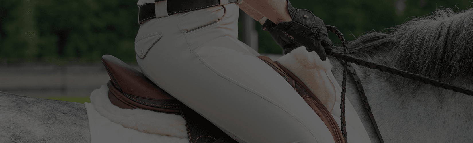 Fitting an English Saddle