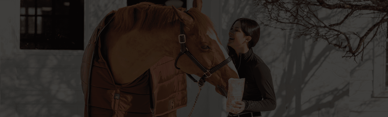 10 Practical Valentine's Day Gifts for Horse Lovers