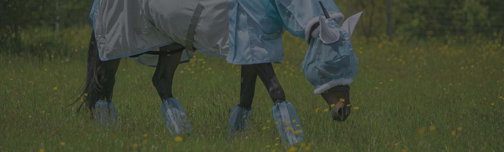 Your Guide to Prepare for Fly Season