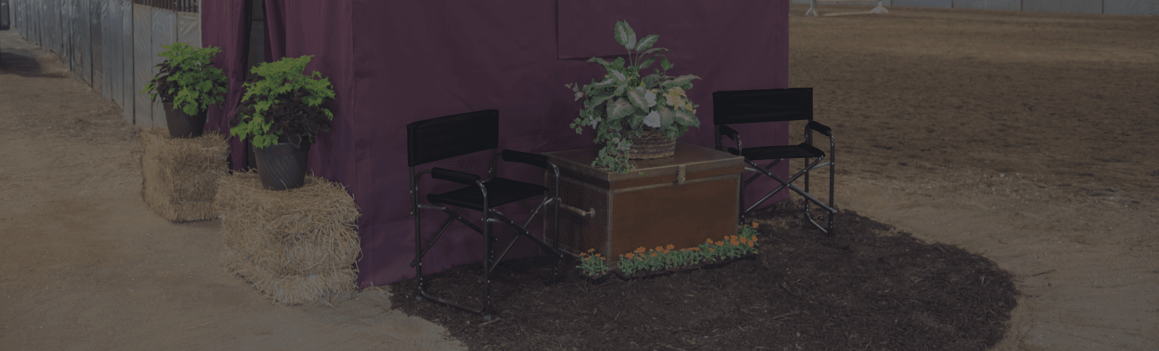 Horse Show Set Up Ideas