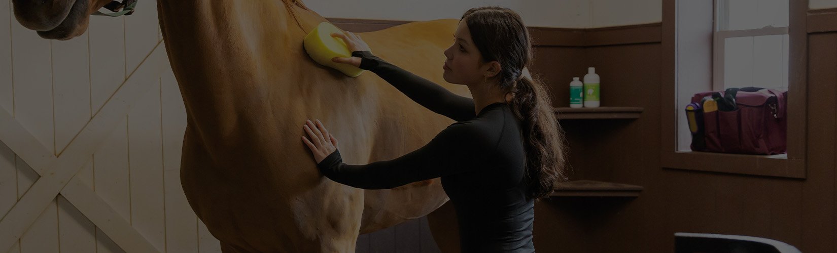 Our Top 10 Best Horse Shampoo Picks