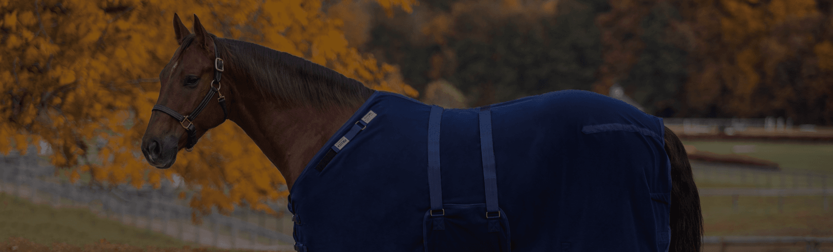 When to Use and How to Choose a Horse Cooler