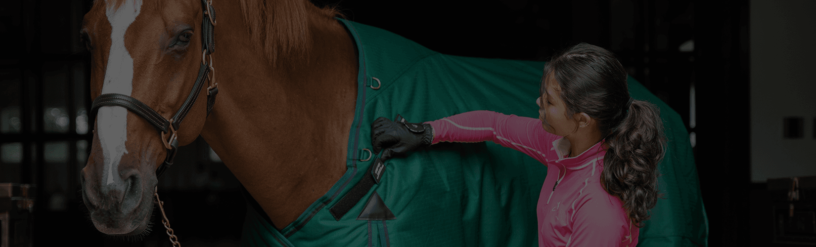 How to Know When to Blanket Your Horse