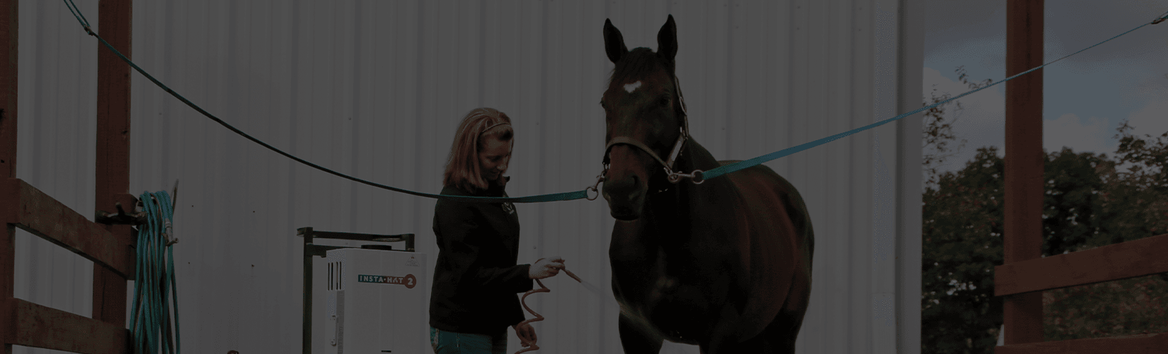 How to Bathe Your Horse in the Winter