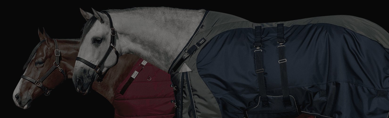 Horse Blanketing 101: Stable Blanket vs. Turnout Blanket