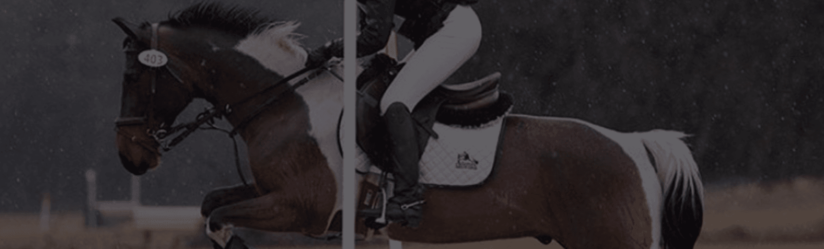 Pro of the Month - Jessica Champagne