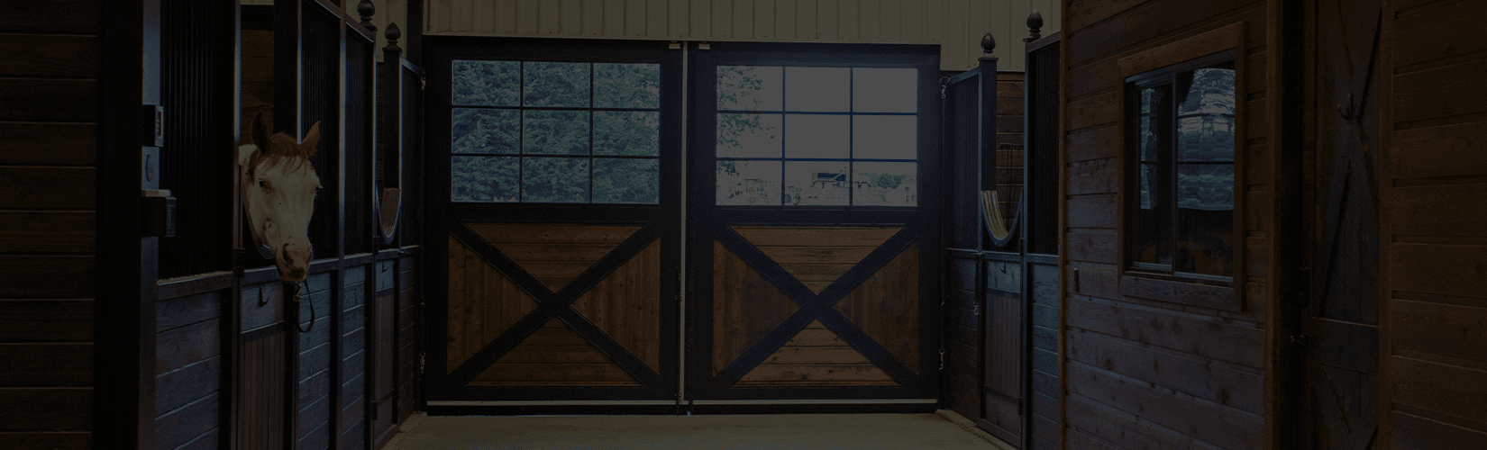 9 Horse Barn Organization Ideas