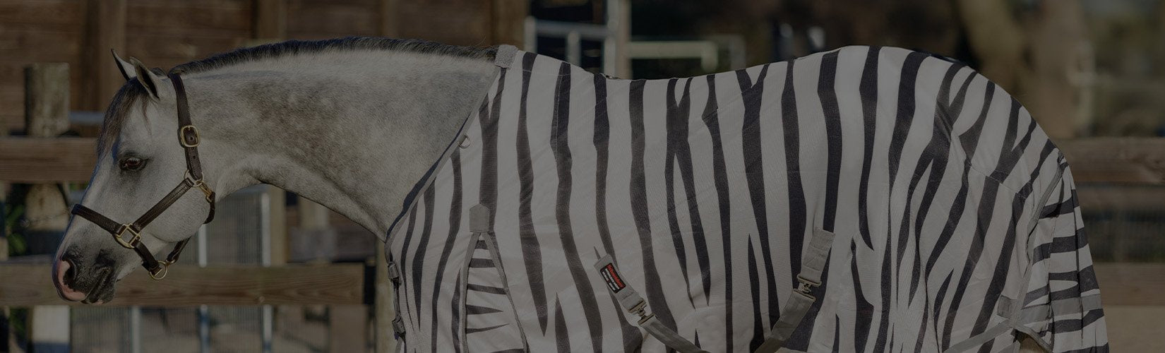 The Best Horse Fly Sheets for Insect Protection