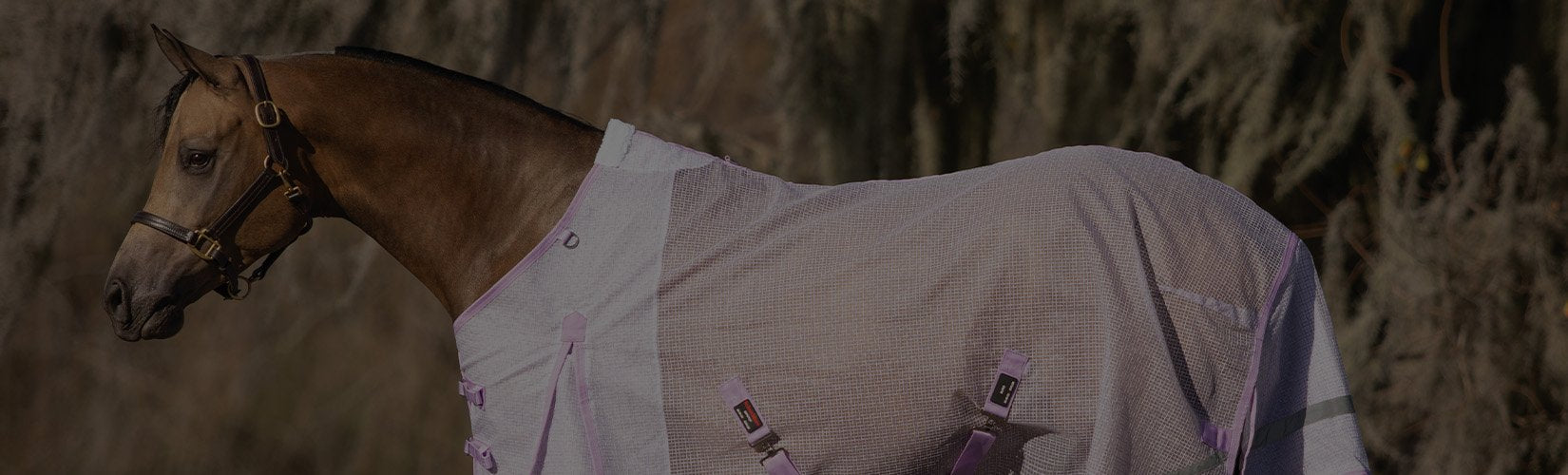 The Best Horse Fly Sheets for Hot, Humid Weather