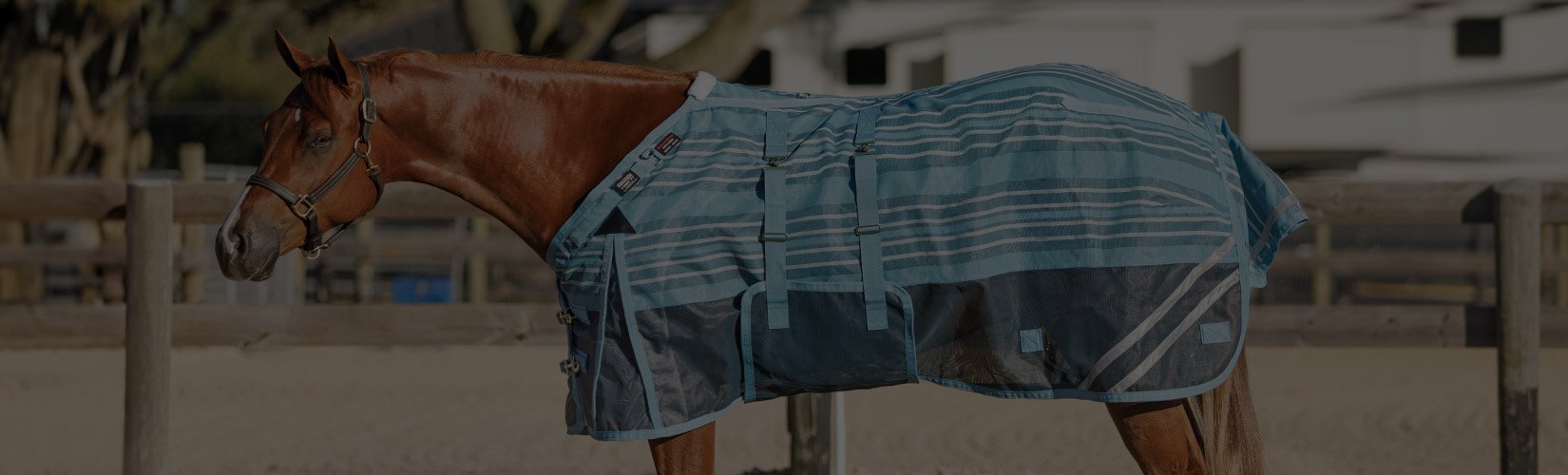 The Most Durable Fly Sheets for Horses