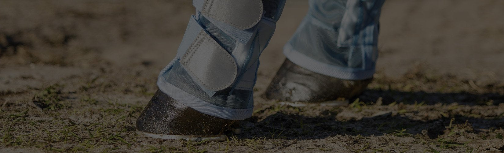 The 9 Best Fly Boots for Horses