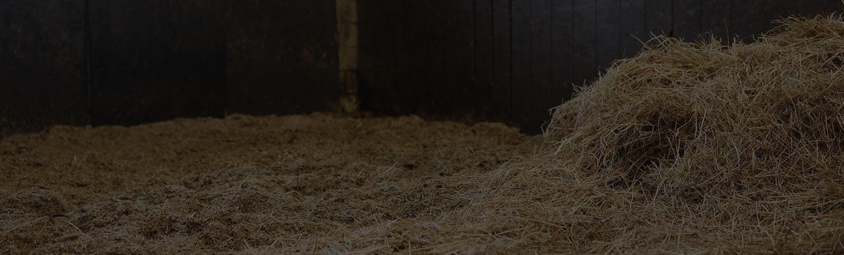 Clean a Horse's Stall: A Step-by-Step Guide