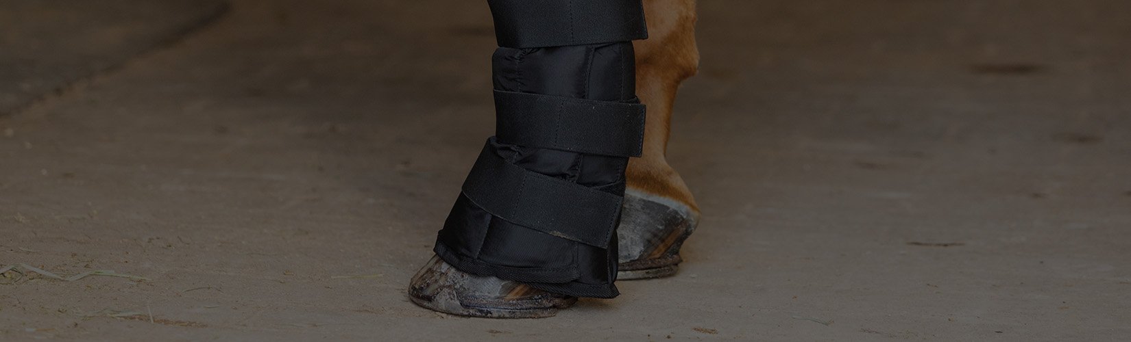 Guide to Icing Horse's Legs and Hoove