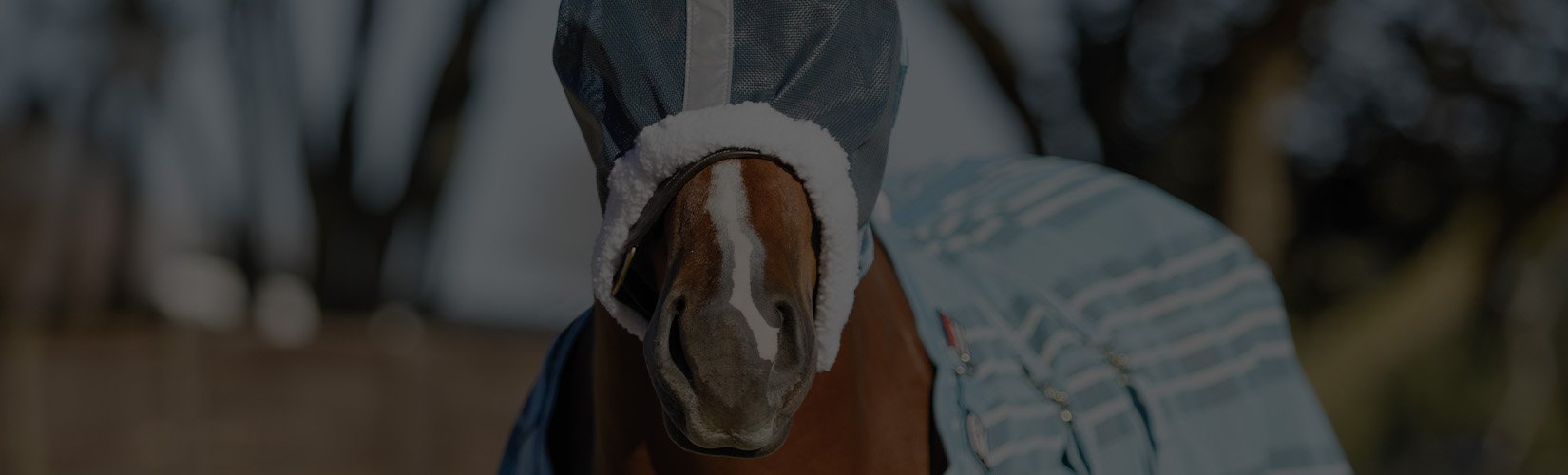 The 7 BEST Fly Masks for Horses
