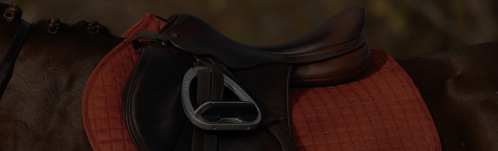The Top 10 Best English Saddle Pads