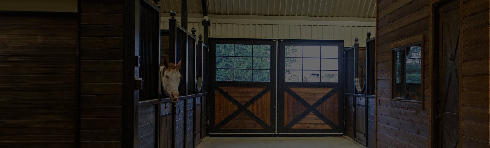 10 Stable Supplies to Streamline... | Schneider Saddlery