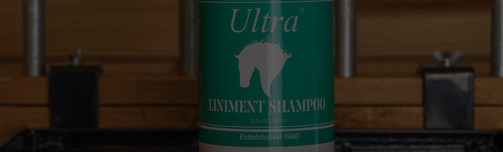 Guide to Horse Liniment: Types, Uses, and Safety Tips