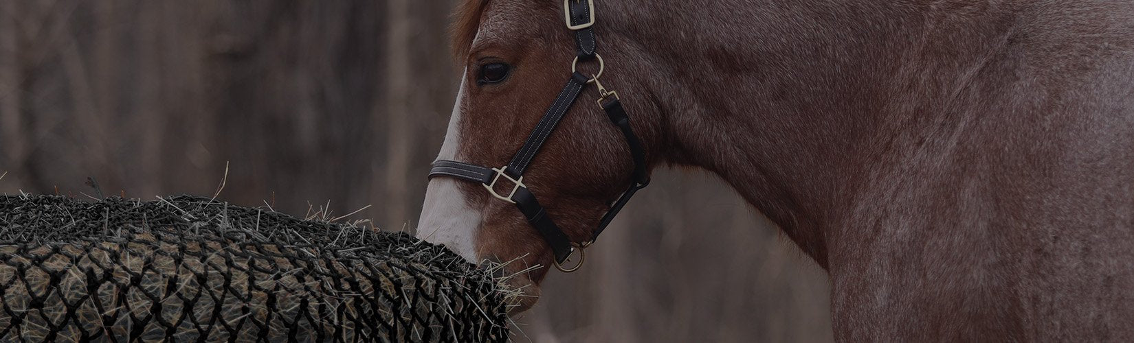 Tips & Tricks for Managing Weight Gain for Horses