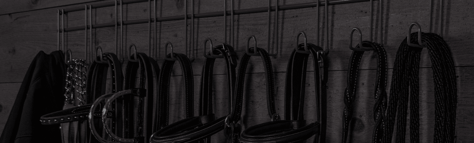 25 Best Bridle Racks for Your Tack Room and Barn