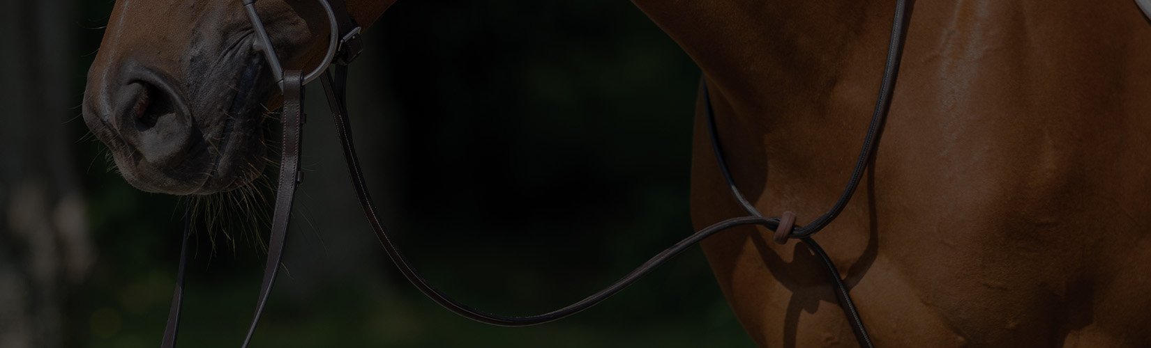 Understanding Martingales for Horses: A Comprehensive Guide