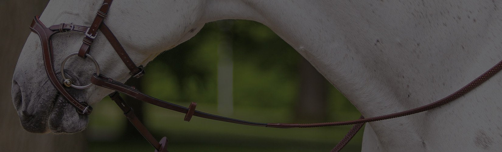 How to Measure for a Horse Bit