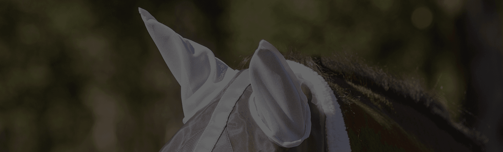 Top 8 Fly Masks with Ears for Complete Protection