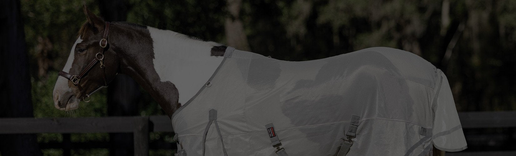The Best Affordable Fly Sheets for Horses