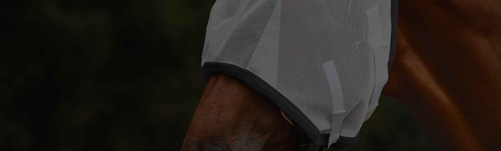 The Best Affordable Fly Masks for Horses
