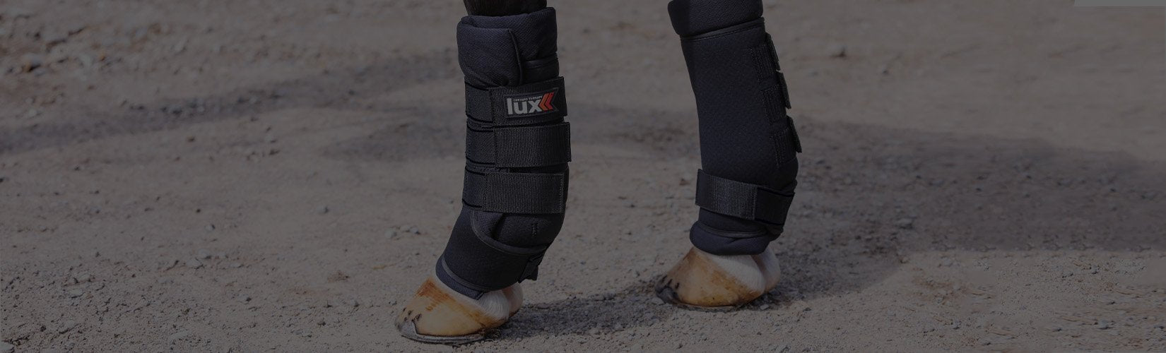 The Benefits of Ceramic Therapy in Horse Recovery and Performance