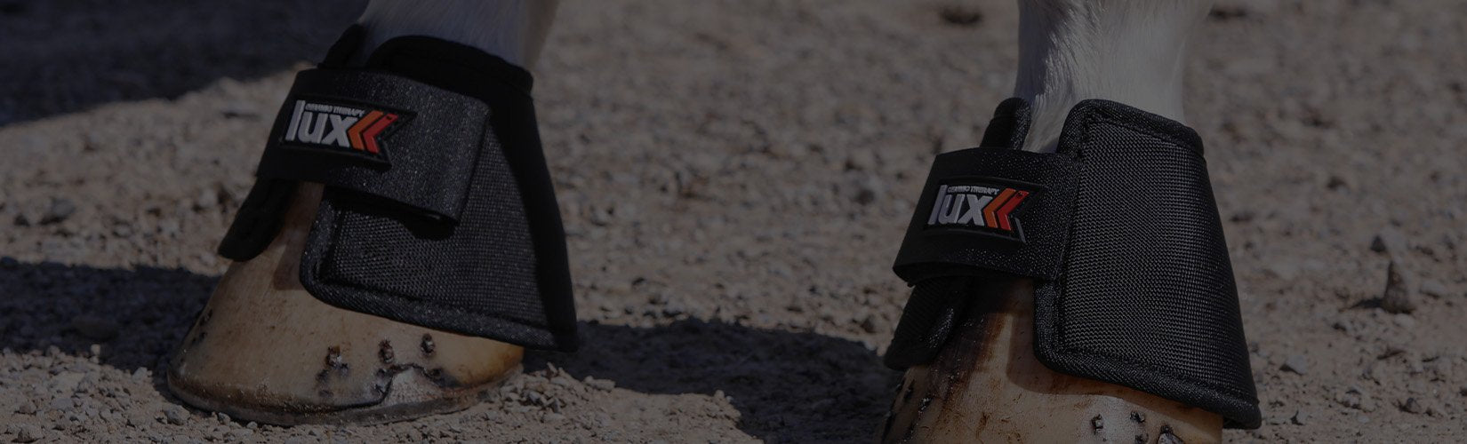 The Top 8 Ceramic Therapy Products for Horses