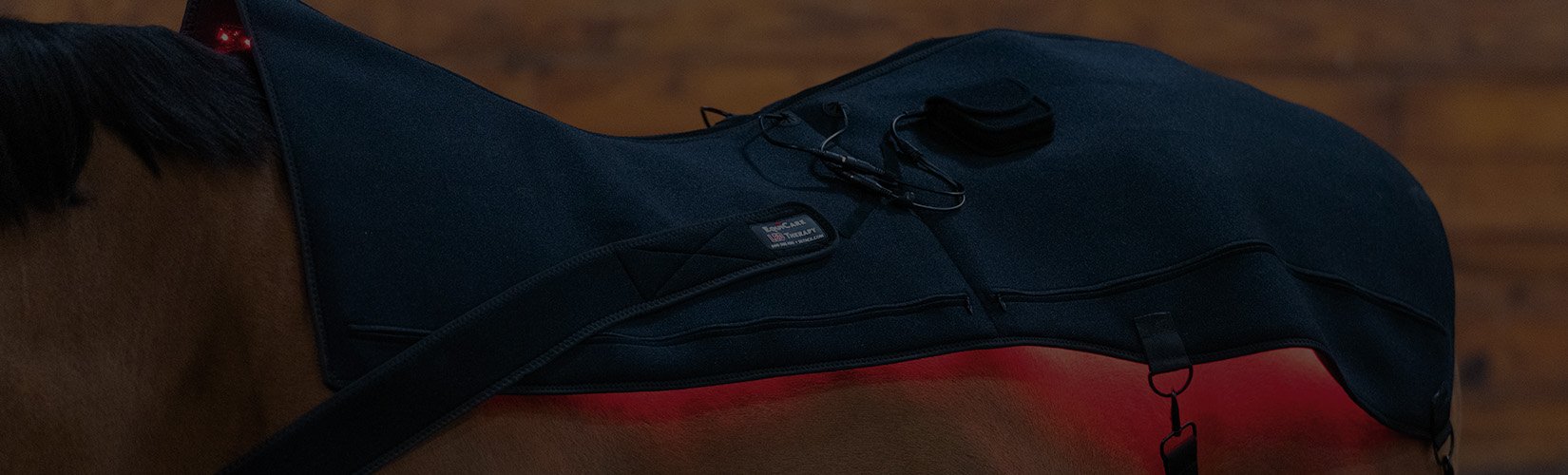 7 Best Red Light Therapy Devices for Horses (2025 Buyer’s Guide)
