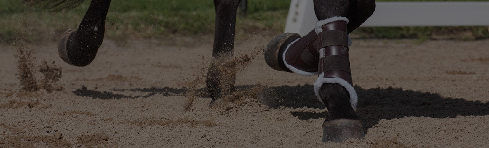 How Many Types of Horse Boots Are There, and What's Each Type For?