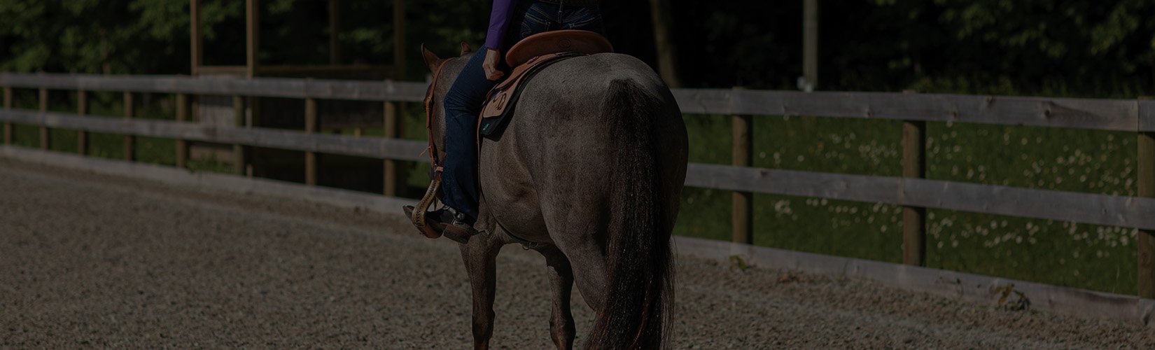 Mastering Horse Tail Extensions: Types and How-To Guide