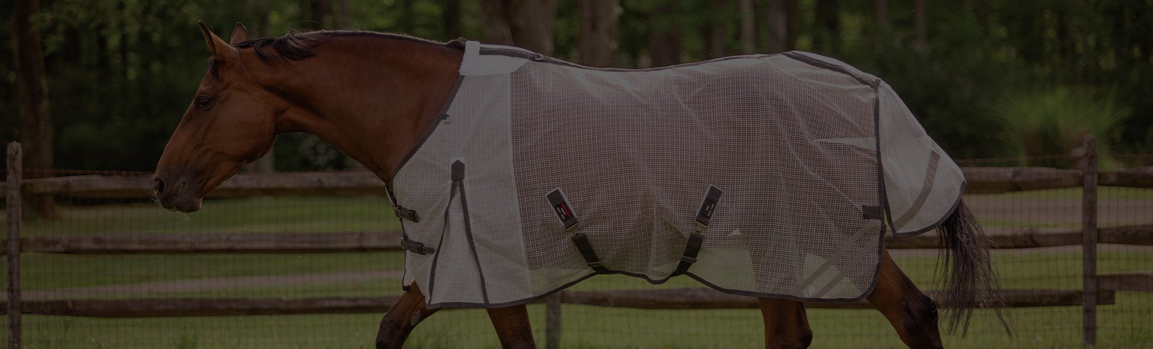 How to Clean Your Horse’s Fly Sheet