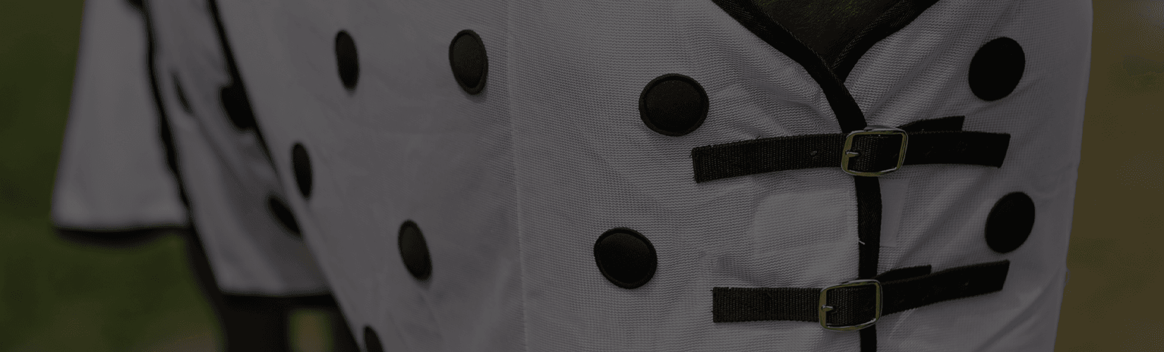 Everything You Need to Know About Magnetic Horse Sheets