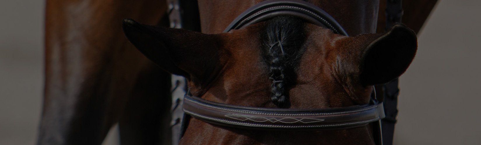 Horse Braiding 101: The Different Supplies You Need
