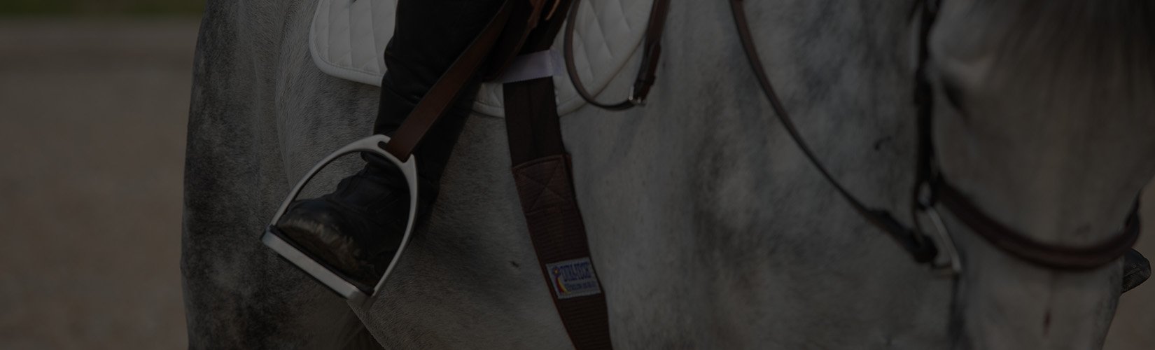 The Different Types of English Stirrup Irons
