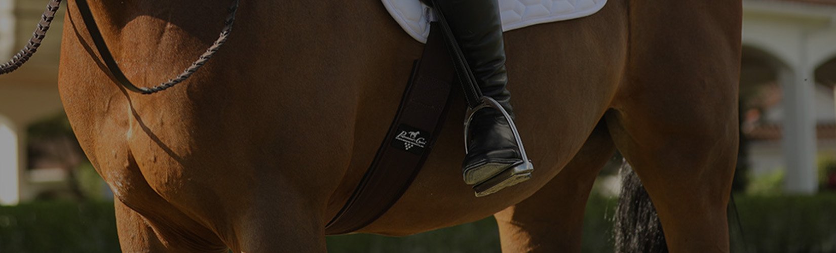 How to Measure for an English Stirrup Iron