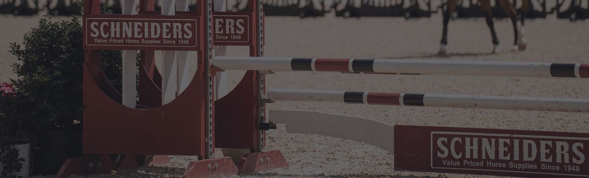 How to Measure Strides Between... | Schneider Saddlery