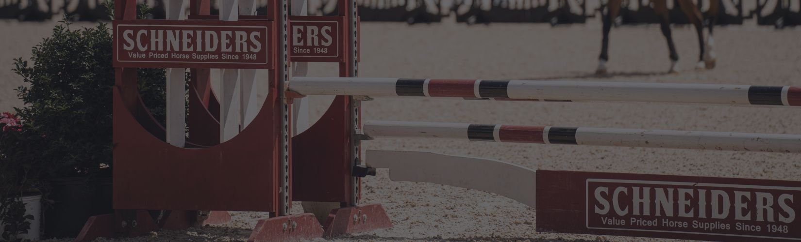 How to Measure Strides Between Jumps: A Complete Guide